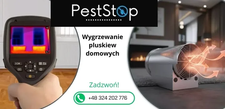 Wygrzewanie pluskiew domowych