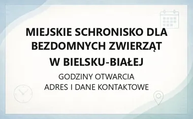 Miejskie Schronisko dla Bezdomnych Zwierząt w Bielsku - Białej - kontakt, godziny, informacje