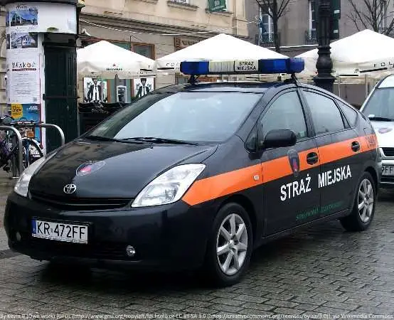 Ujął go rysopis - złodziej piwa i litra alkoholu zatrzymany na 3 Maja