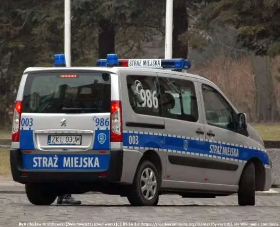 Kontrole źródeł ogrzewania - Straż Miejska sprawdza piece i kominki od 2026