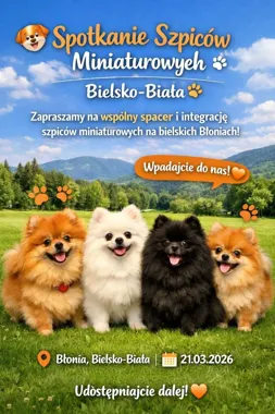 Grafika promocyjna wydarzenia Pomeraniany-Bielsko Biała — spacer miłośników szpiców miniaturowych w Bielsku-Białej