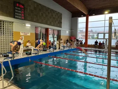 Troclik znów rusza na pełnym tempie - młodzi pływacy powalczą o miejskie medale