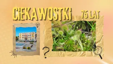 Jedyny taki rezerwat na Śląsku. Rotuz skrywa legendę o mieście pochłoniętym przez mokradła