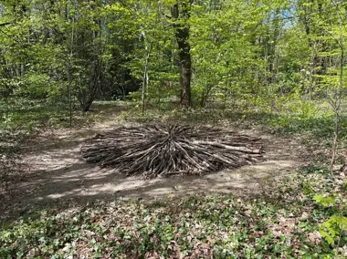 Ogród, park i kino. Ekodzieło znów połączy sztukę z naturą