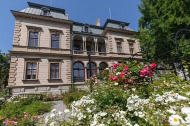 W Willi Sixta sztuka łączy terapię z rozmową. Po wakacjach pokażą efekty