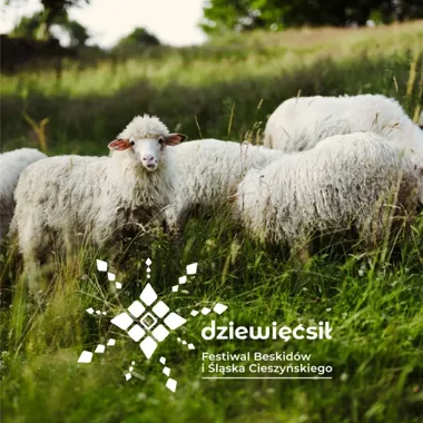 Czwarta edycja festiwalu Dziewięćsił. Nocny spacer po Cygańskim Lesie i jaskinia na Szyndzielni