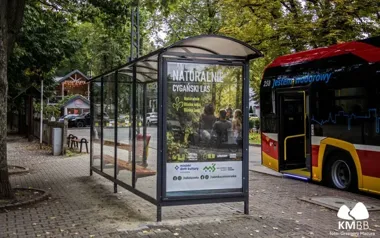 Siedem przystanków z odnowionymi wiatami. Doszły też nowe ławki w Bielsku-Białej