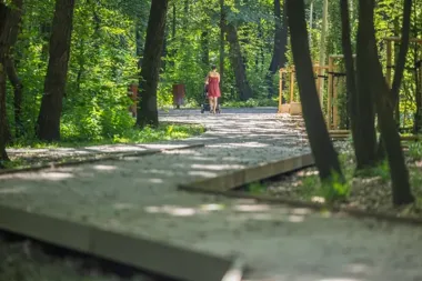 Ogród na Skarżyńskiego już gotowy. Ma chłodzić miasto i zatrzymywać deszcz