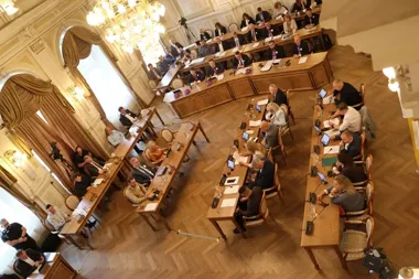 Radni chcą państwowego programu walki z rdestowcem i stałego finansowania