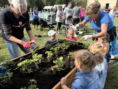 Przy SP 31 powstanie rabata i jagodnik. Szkoła zyska zielony park