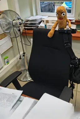 Maskotka miała być prezentem dla siostry. Policjanci z Jasienicy ją odzyskali