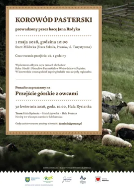 Korowód Pasterski w Milówce - owce, hale i góralski rytm